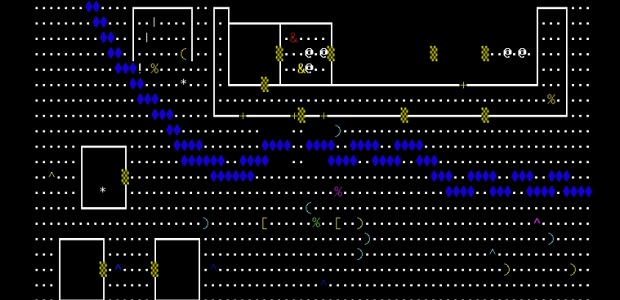 תמונה מ-nethack