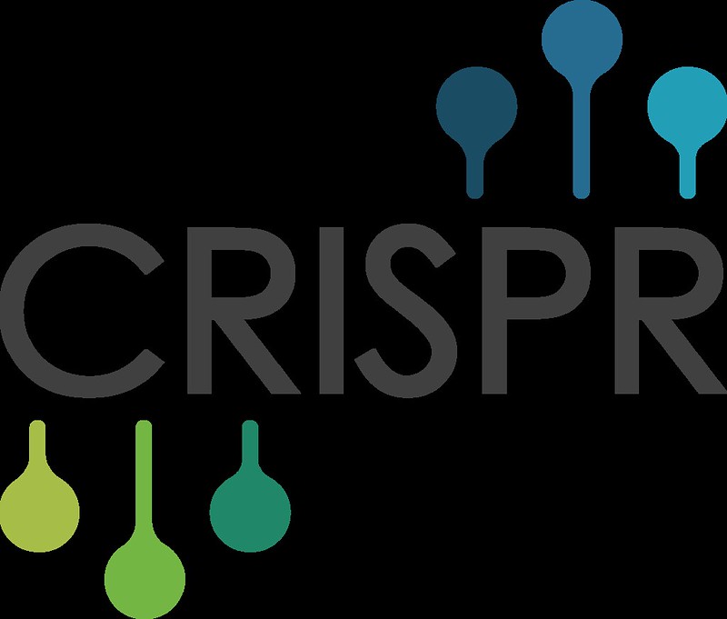 מה זה קריספר (CRISPR)? מדריך למתחילים
