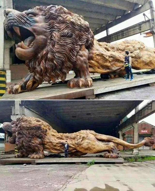 אריה מעץ