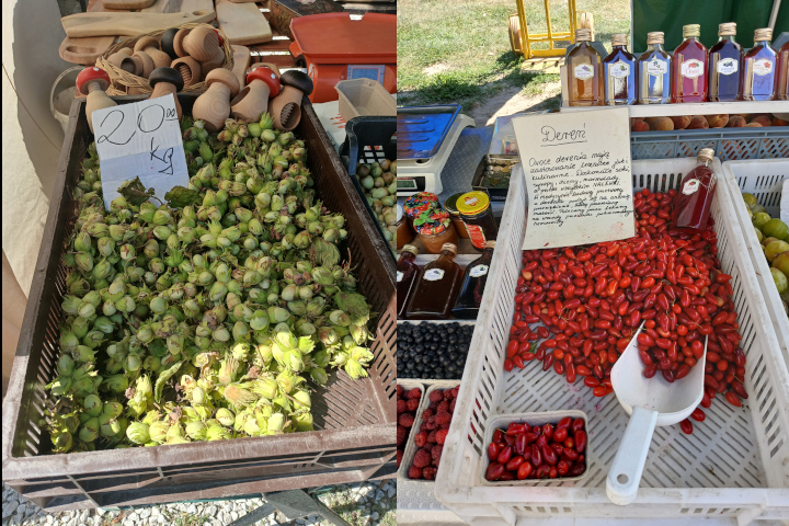 אקוזי לוז ודוגווד
