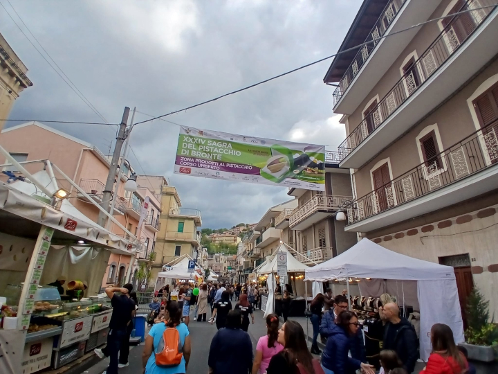 הכניסה לפסטיבל הפיסטוקים בברונטה