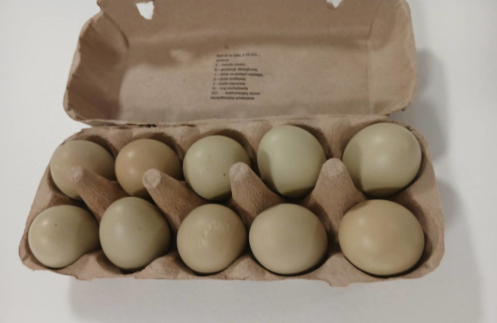 ביצים ירוקות